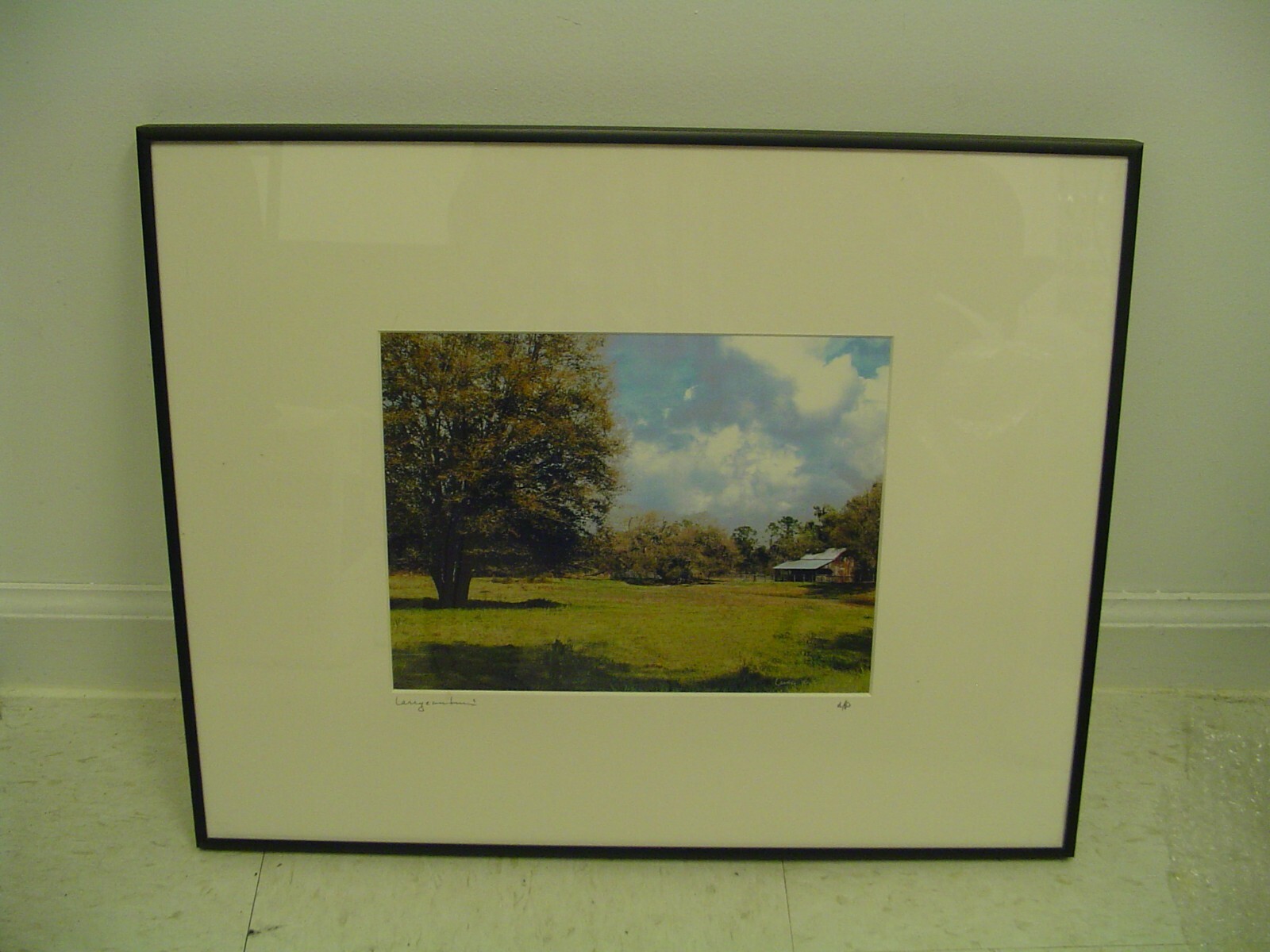 ART PHOTOGRAPHY field scenery trees in color by L. Santucci Frames 16x20in