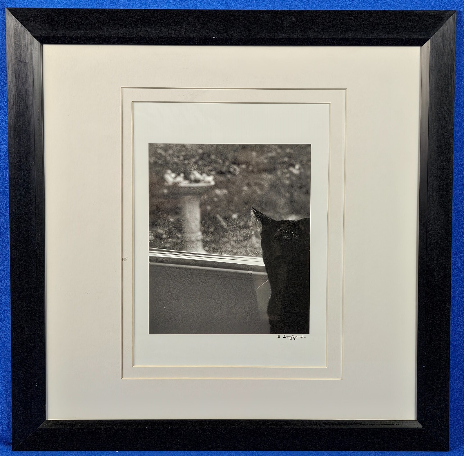 Elizabeth Siegfried Hand Signed Untitled “Cat” B&W Photography Framed