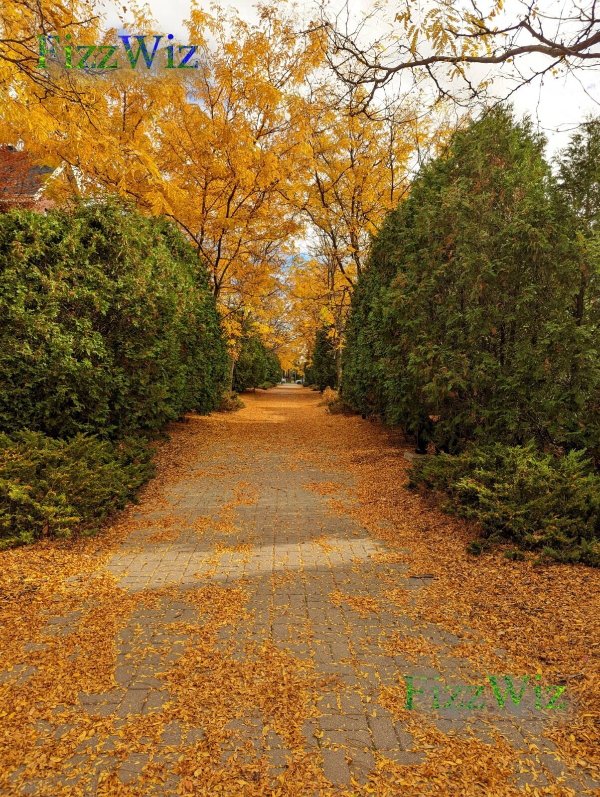 Fall Alley Art Digital Image Picture Photo Wallpaper – Instant Delivery