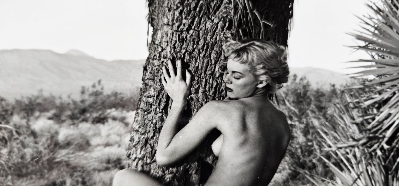 Andre De Dienes Nude Woman & Joshua Tree Photo Silver Gelatin Print 1960, COA