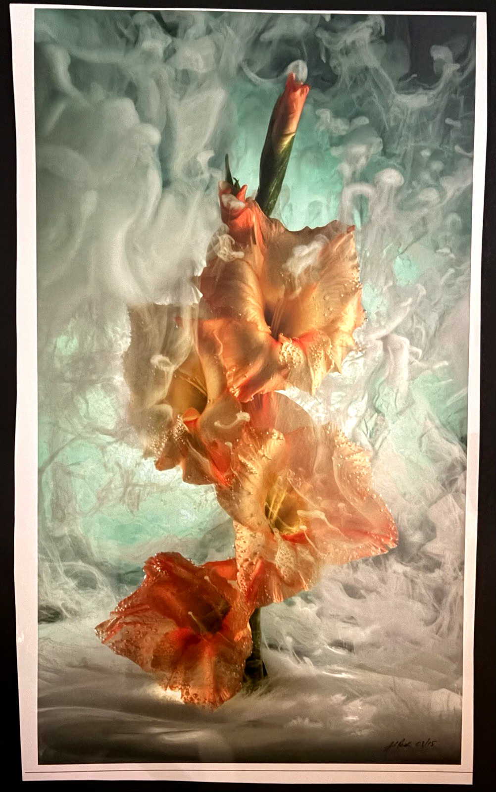 J Scott Peck Ltd Ed. 03/15 Ethereal Lighting Yellow Gladiolus Flower Photo Print