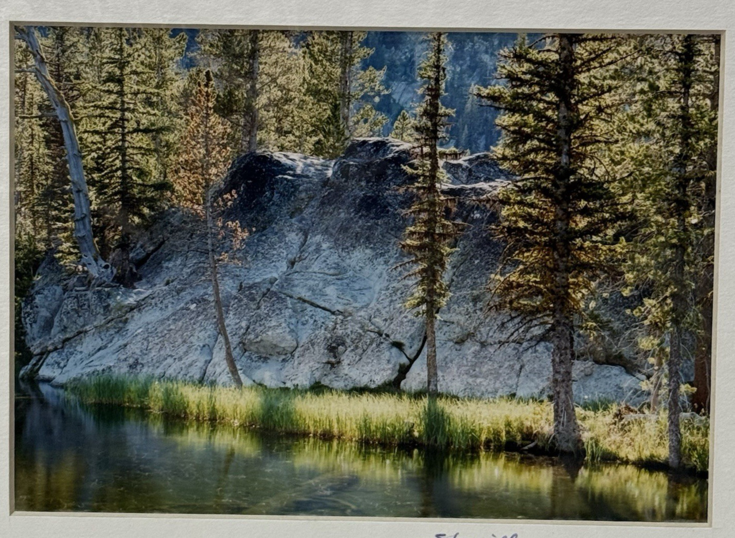 VTG Sherrill SIGNED Matted Photo 8×10 Hoffer Lakes Oregon Forest Landscape Art