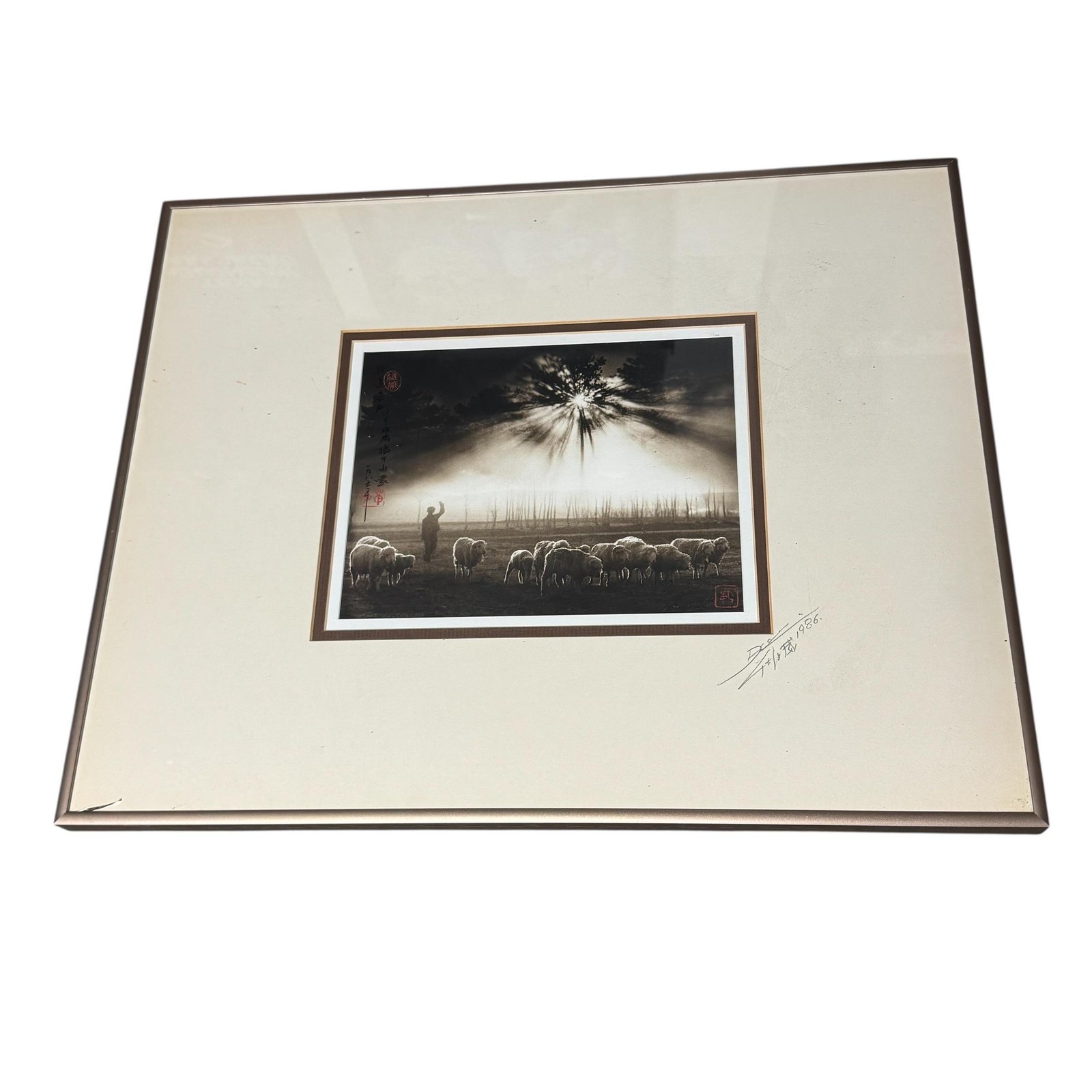 Vintage 1986 Don Hong Oai Sheeping Sheep Landscape Photograph 8×10 Sepia Framed