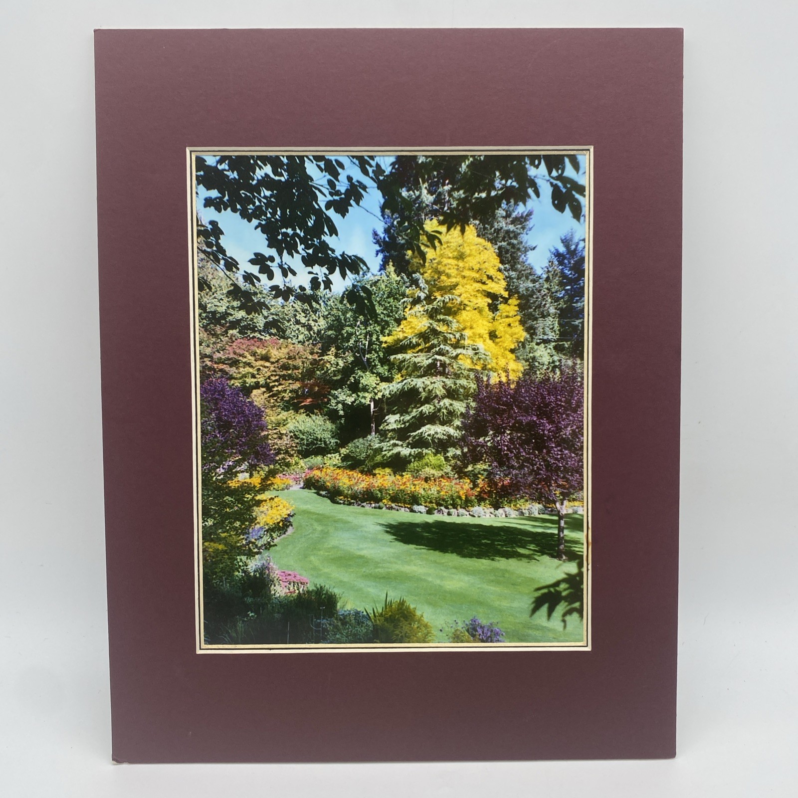 Matted Flower Garden Landscape Photo Print 11 X 14 Wall Art Gallery Decor