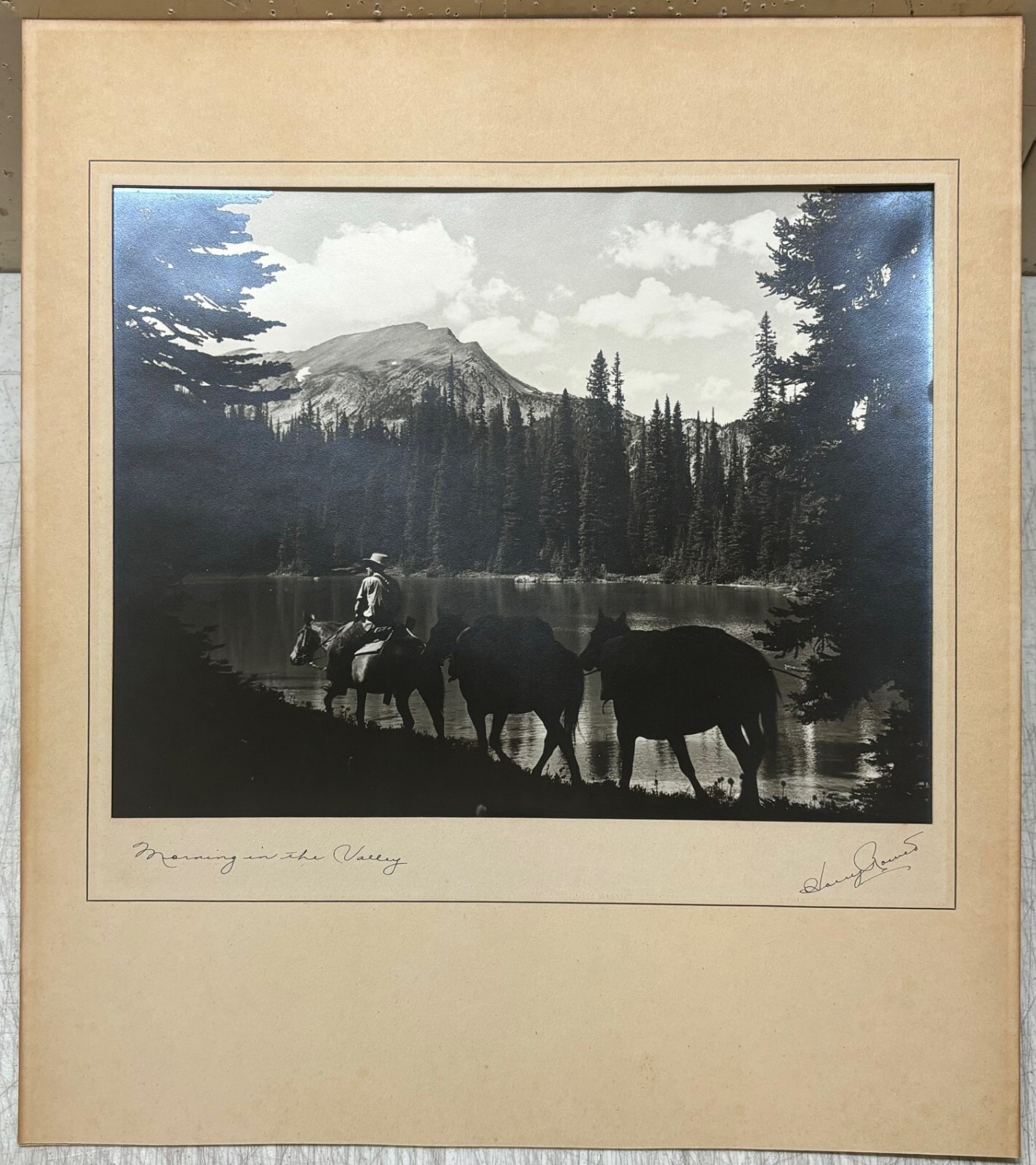 Original HARRY ROWED ‘Morning in the Valley’ Horseback in CANADA Mountains PHOTO