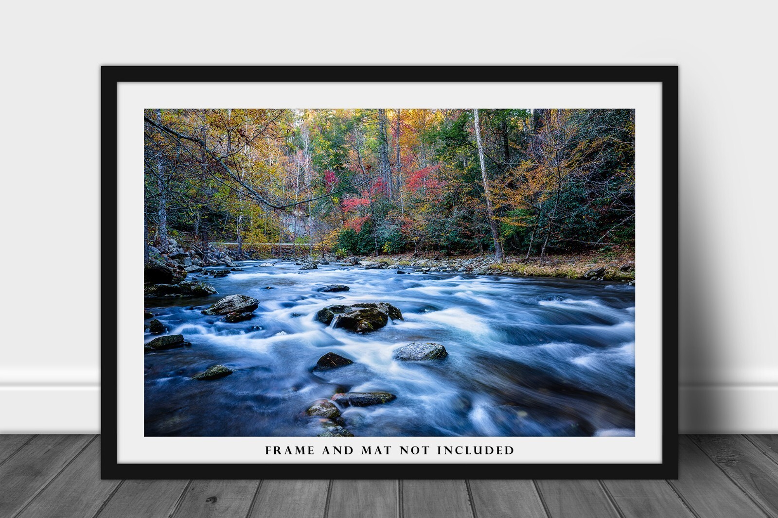 Great Smoky Mountains Photography Print – Laurel Creek on Fall Day in Tennessee