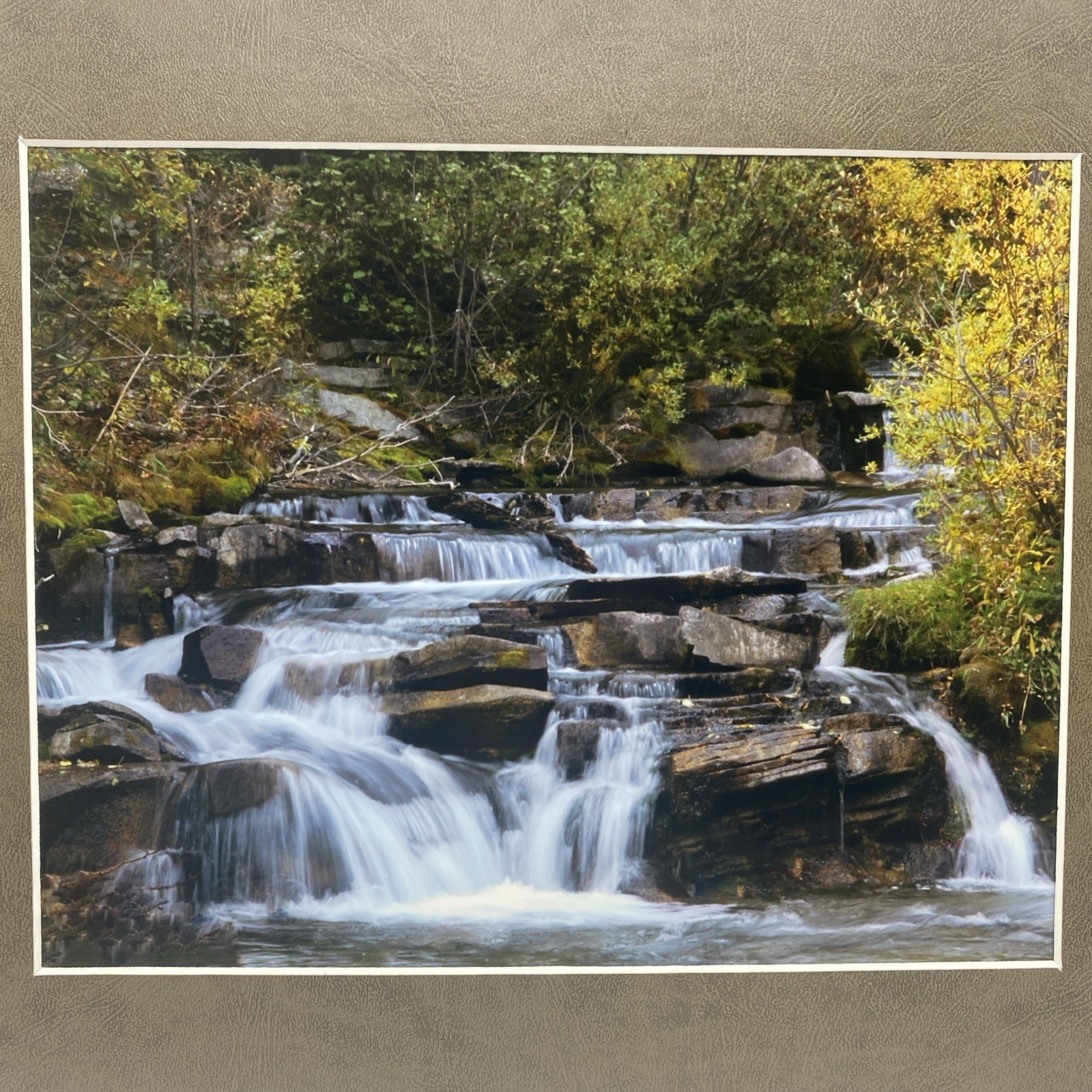 Matted River Forest Landscape Photo Print 11 X 14 Wall Art Gallery Decor