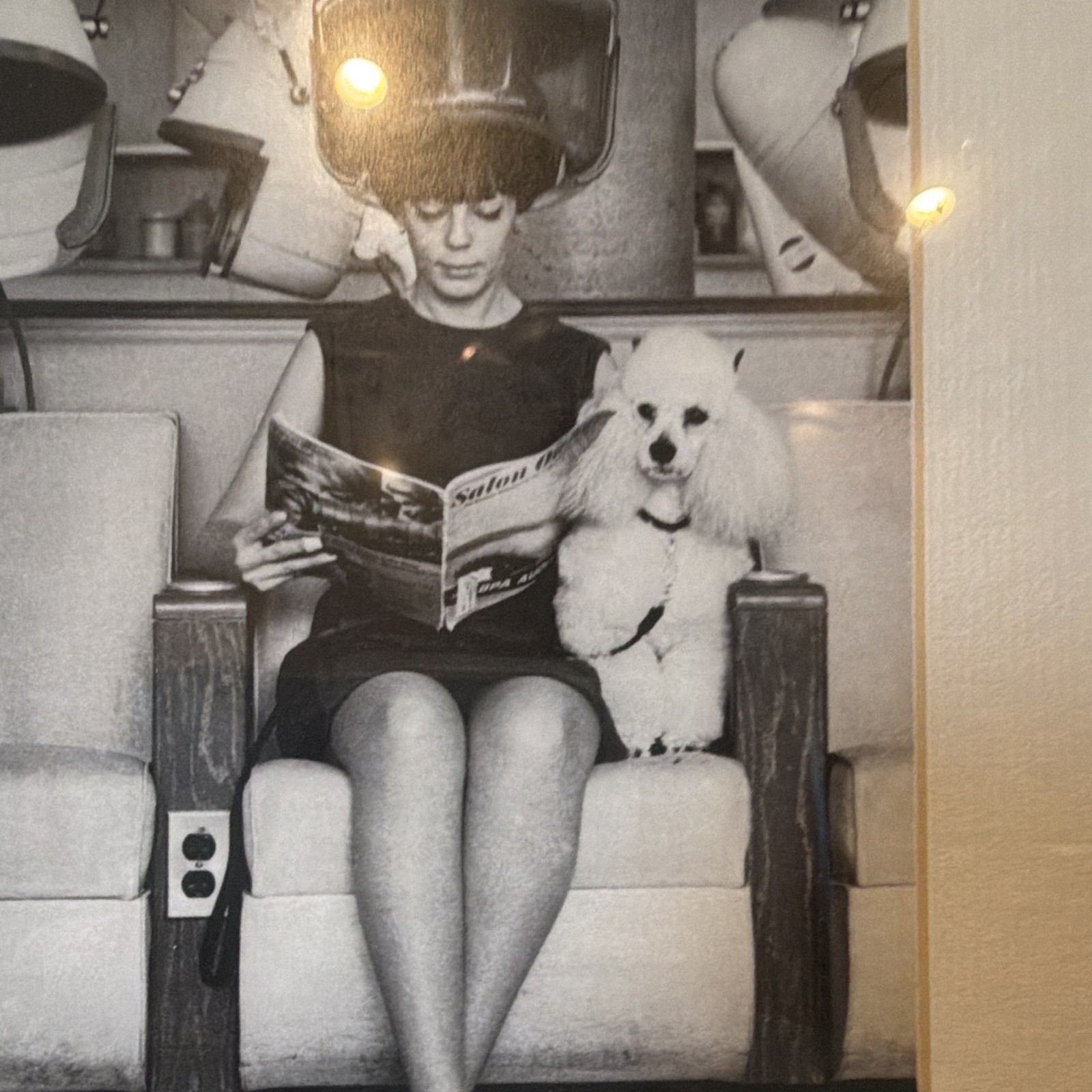 Vintage Black & White Photograph Woman Under Hair Dryer w/ Dog, Framed Matted