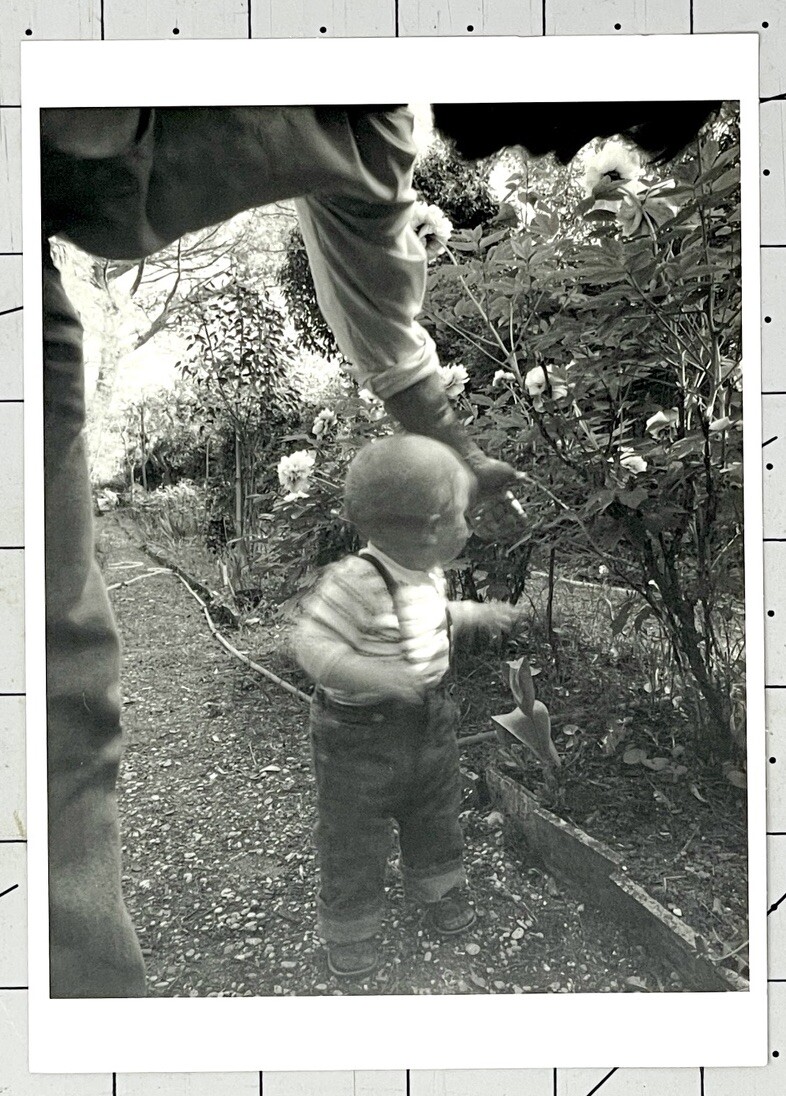 Doug Prince (b. 1943) Case In Flower Garden – 1983 Witkin Gallery Art Photo Card