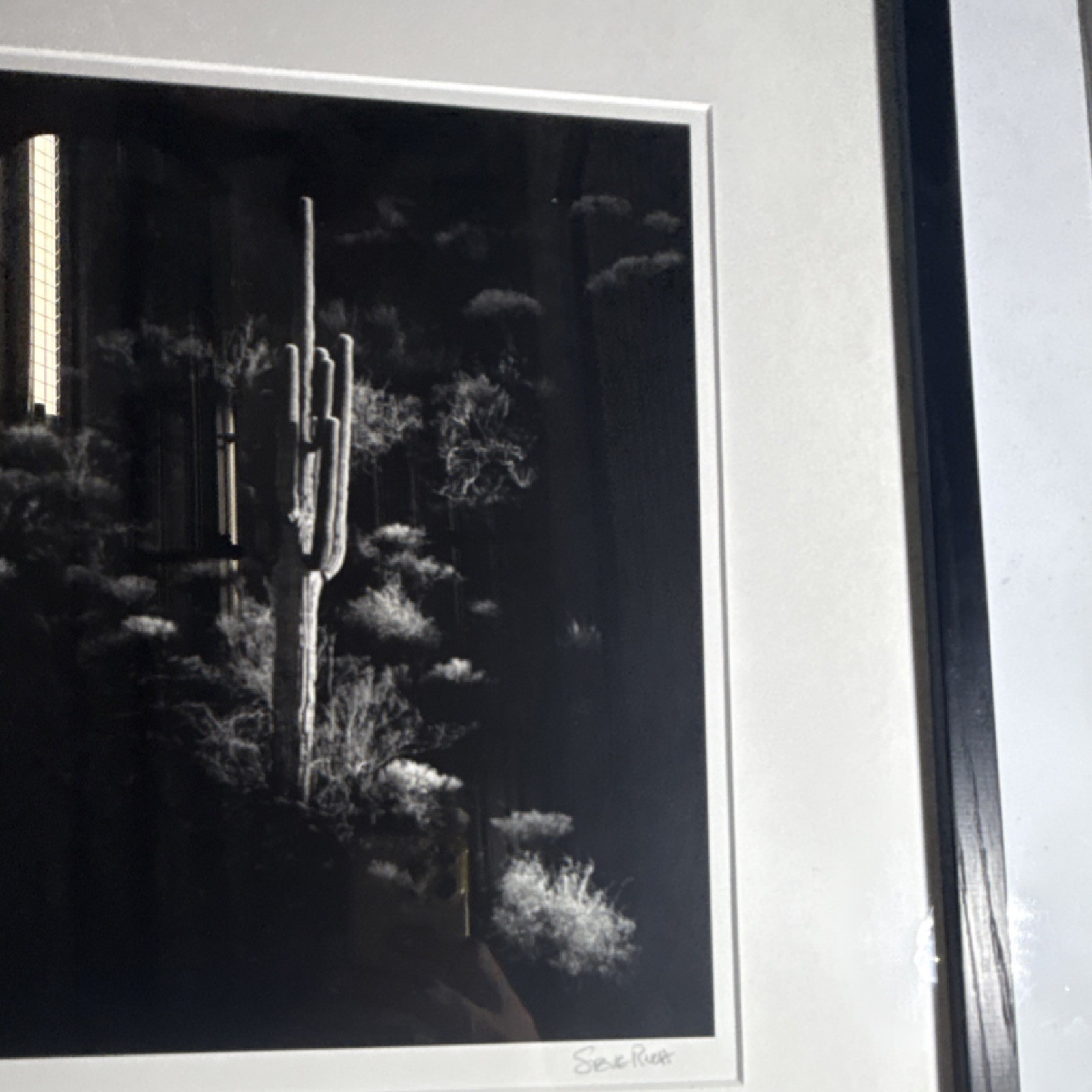 Steve Rude Signed Framed Black & White Landscape Photograph Cactus Desert Art