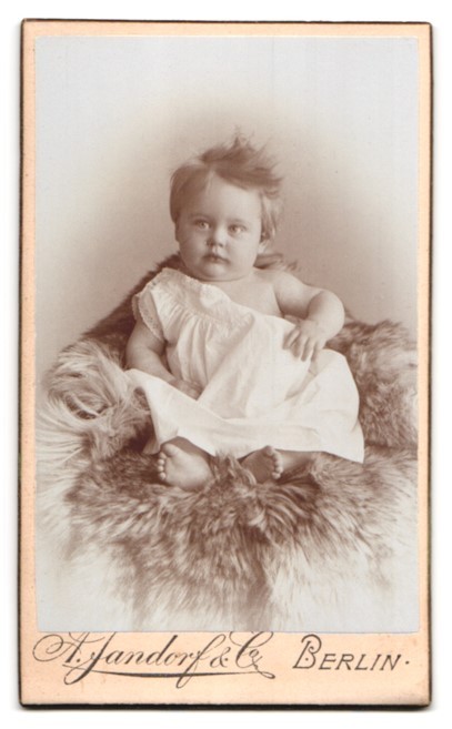 Photograph A. Jandorf & Co., Berlin, monogram of the photographer with flower branch