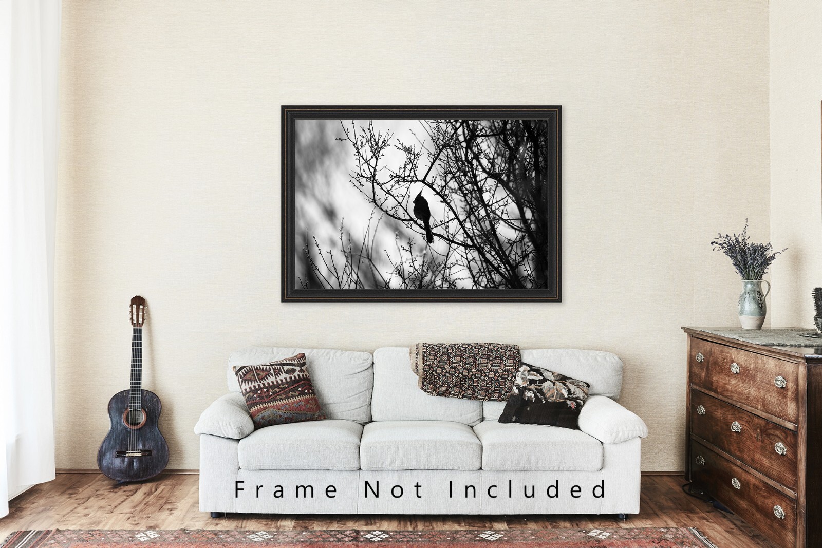 Cardinal Photography Print: Arizona Black & White Bird Desert Southwest Photo