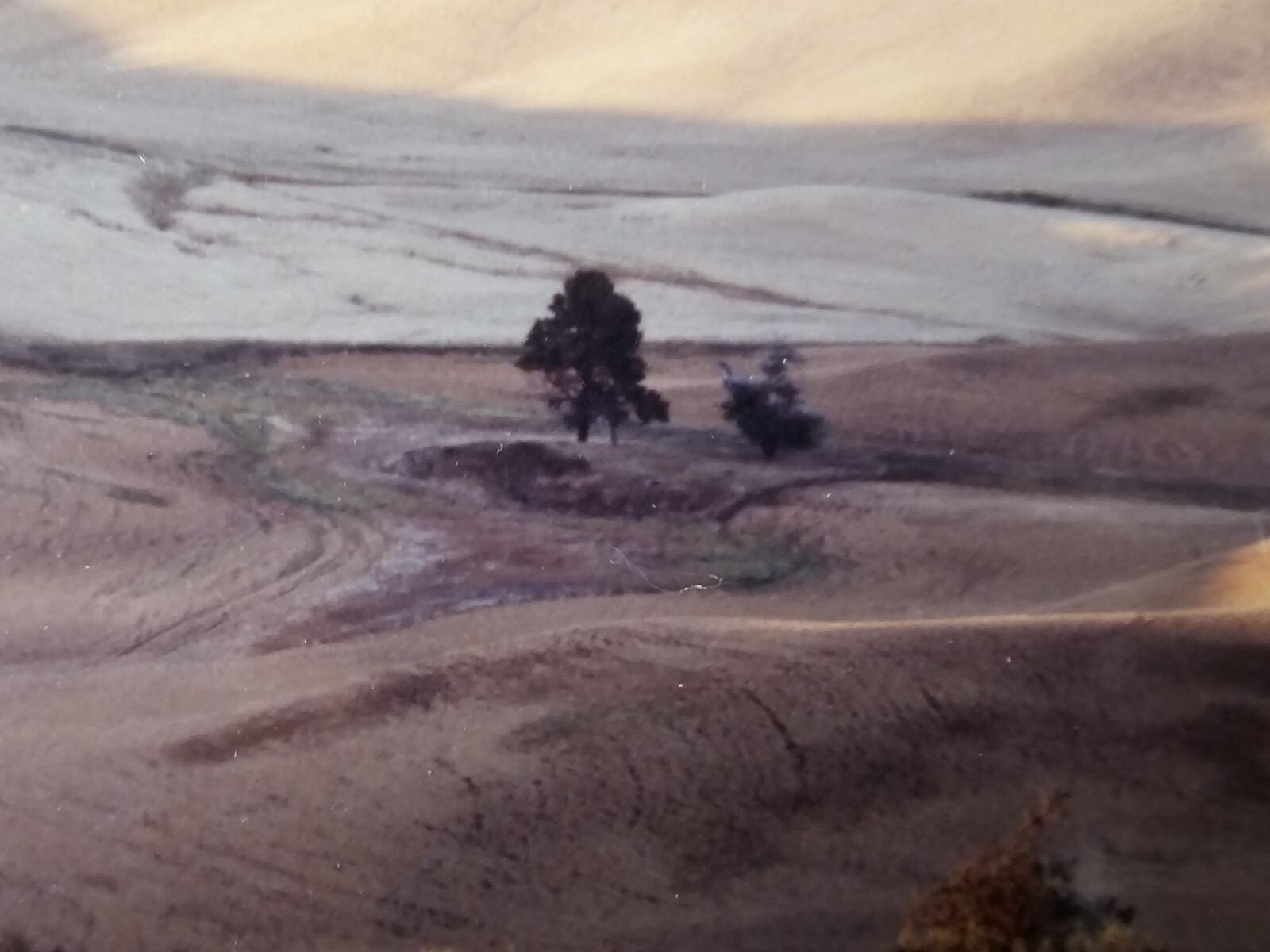 ART – Original Signed John Clement 35mm Photograph 16×13 Framed Modern Landscape