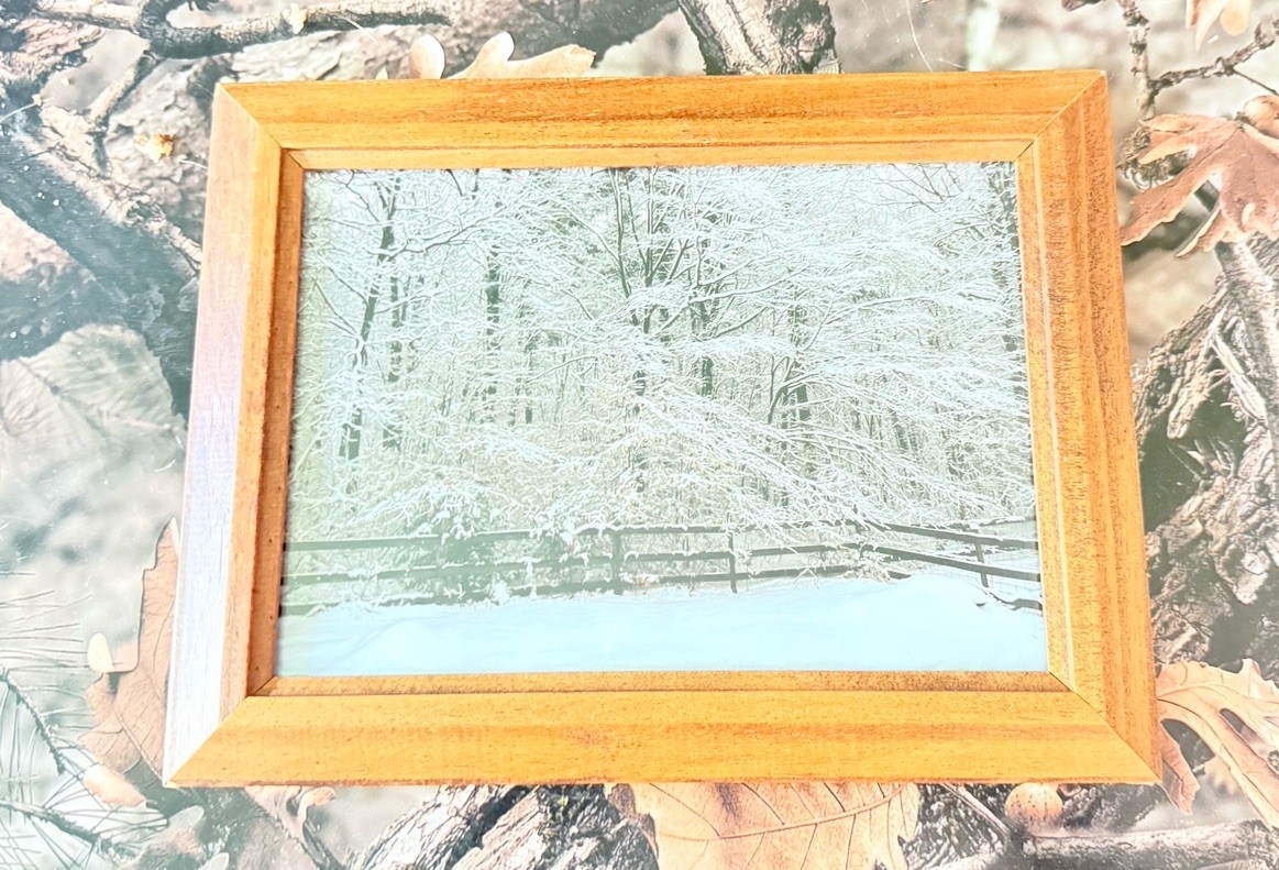 Original photograph, ‘Spiderweb of Snow’ by Serene Scenes in Maine, 5×7