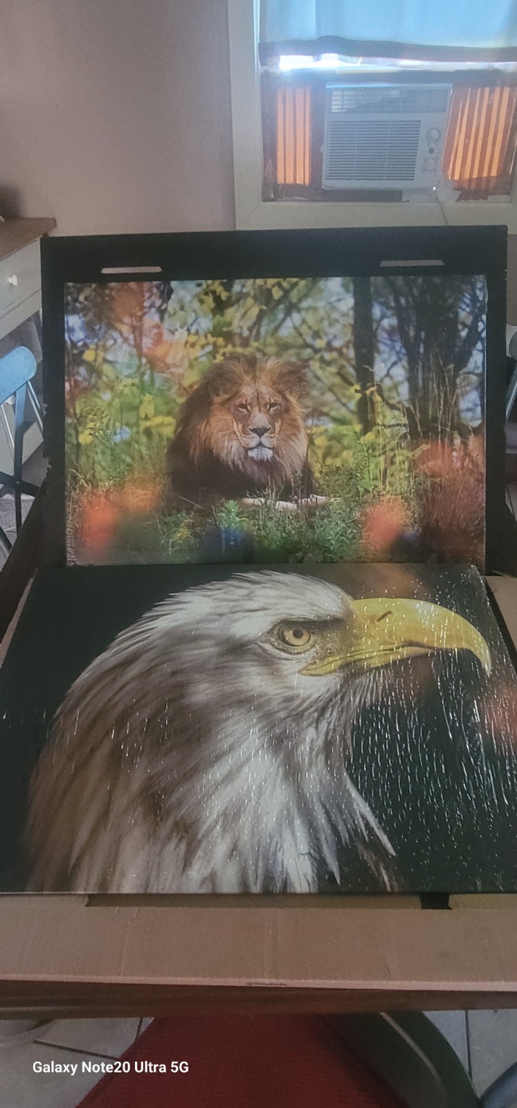 2 Large Gloss Displates For Sale (26.6 x 18.9in). Brand New.