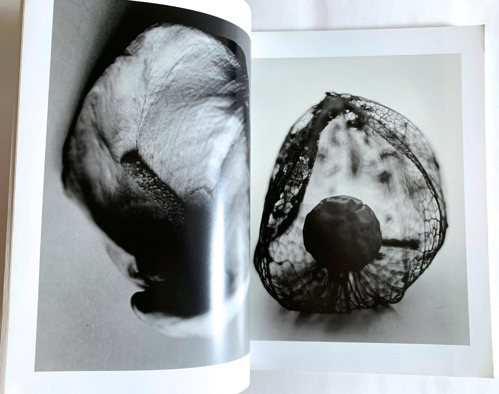 NOBUYOSHI ARAKI SPECIAL ISSUE deja-vu JAPAN PHOTOGRAPHY MAGAZINE 1991 Photo D02