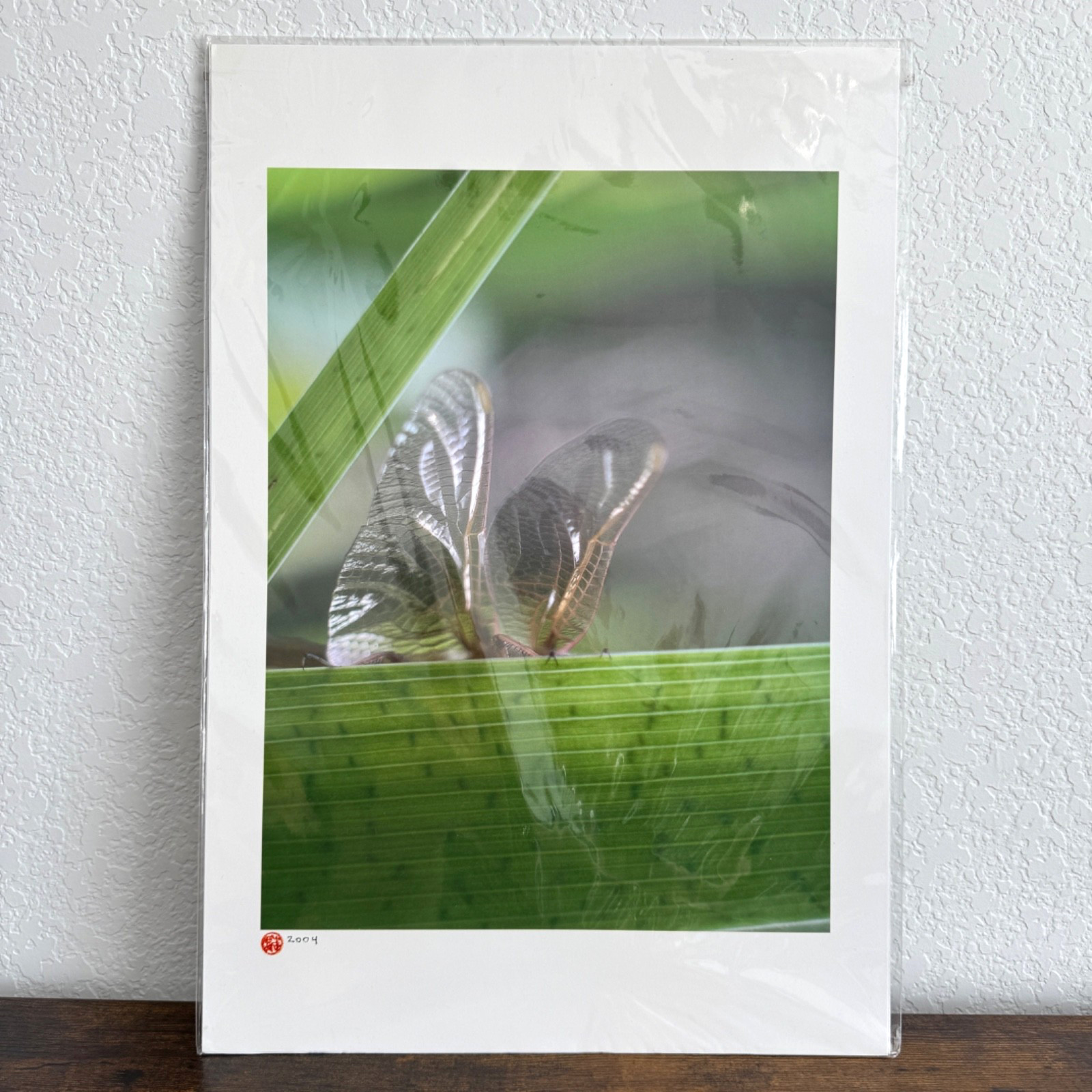Butterfly Zebra Longwing Photography Art Print 2004 Sealed Packaging 19×13″