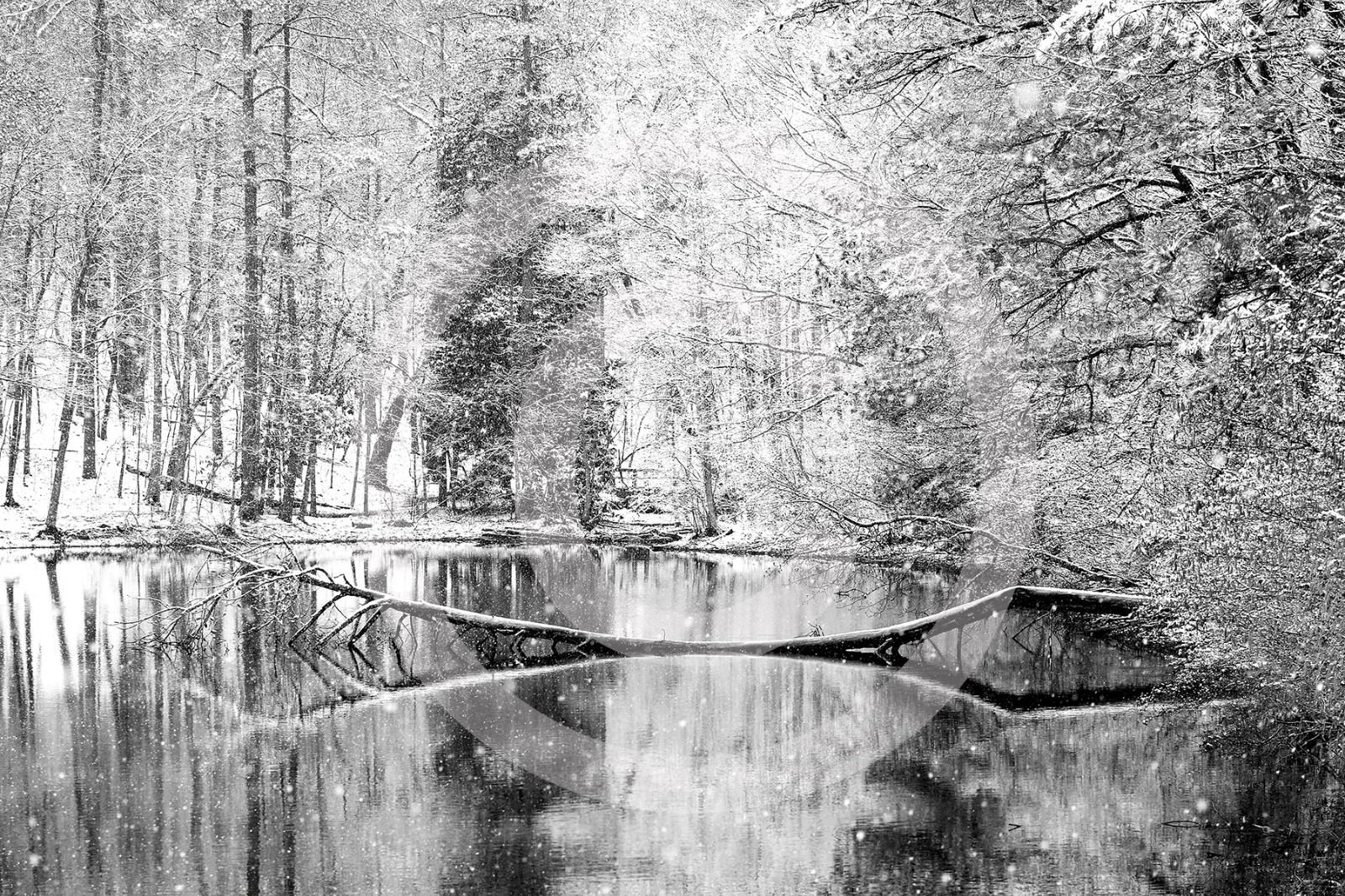 ART PHOTO ‘WINTER REFLECTIONS” SNOWY WONDERLAND! LIMITED EDITION/SIGNED 12X18