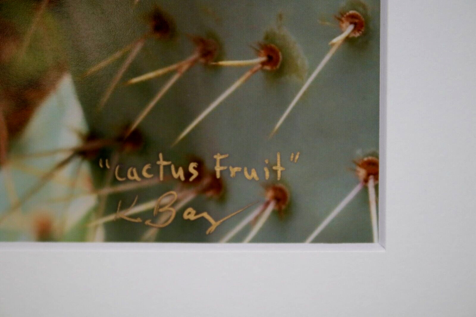 Prickly Pear Cactus Fruit Photo 8″ x 10″ in 11″ x 14″ Matte Signed by Kim Barry