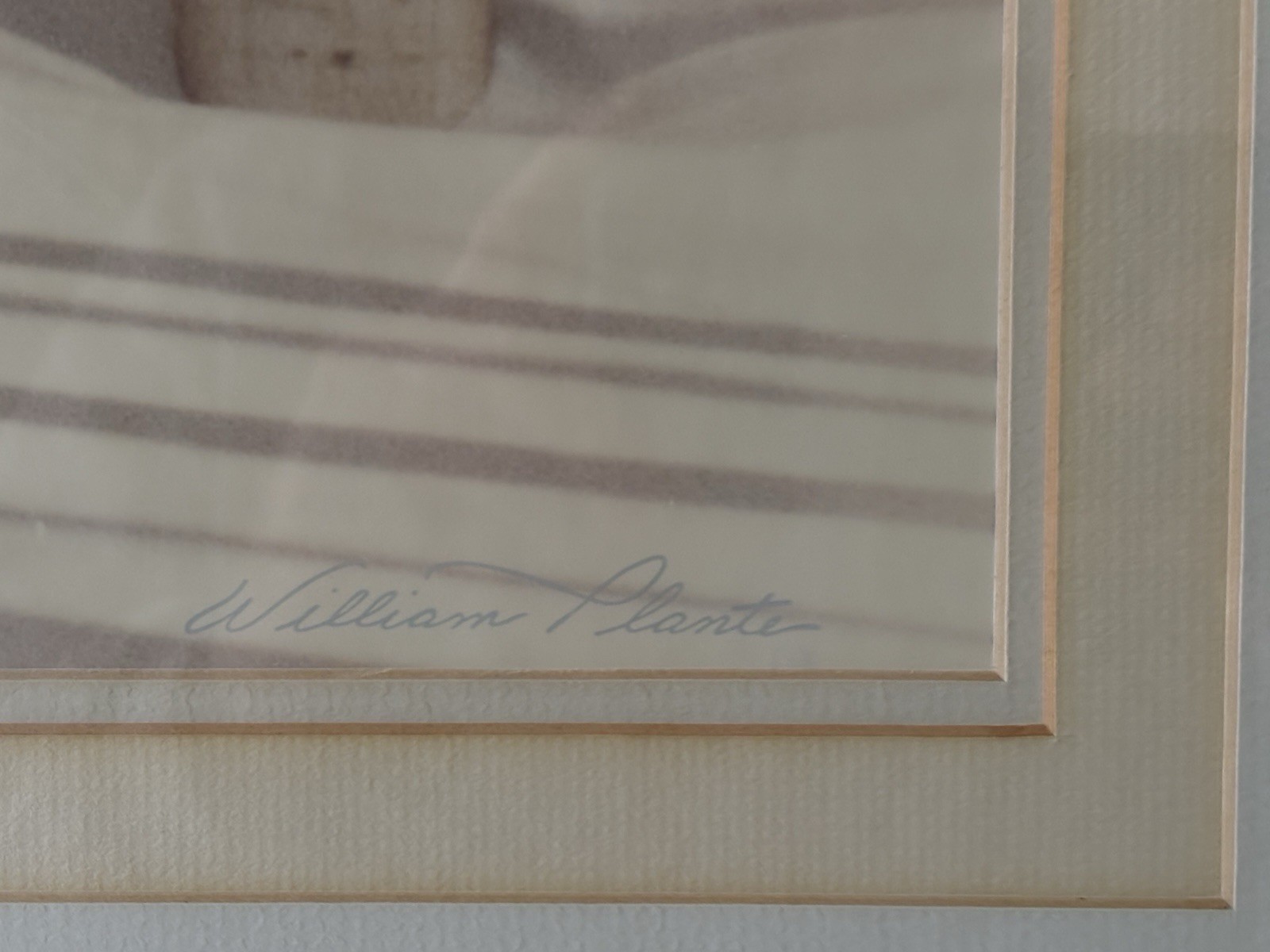 HUGE Signed Sepia Photograph 42″ x 32″ – Birch Trees in Snow by William Plante