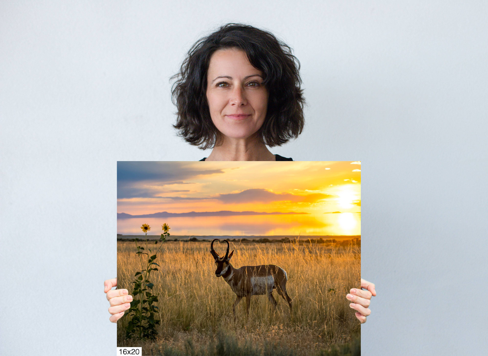 Antelope Island Pronghorn: Utah Sunset Wildlife Photography Wall Art