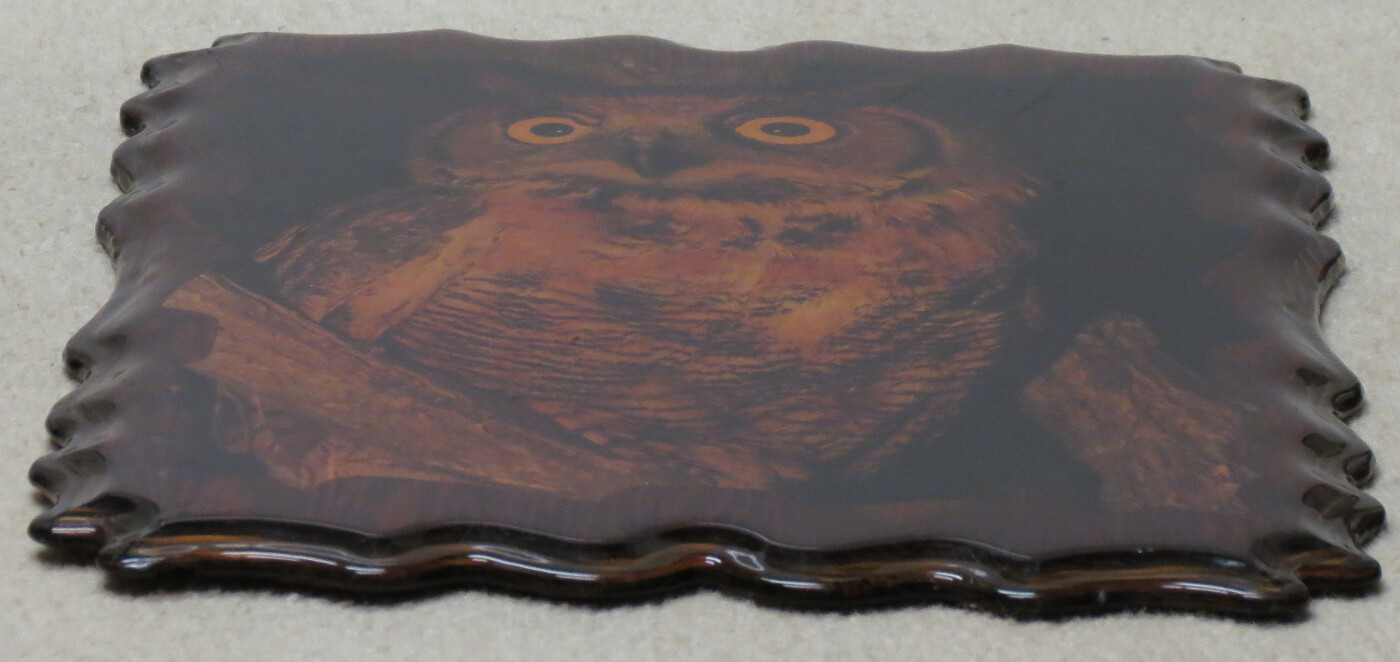 Great Horned Owl Vintage Wall Plaque Photo 15″ x 22″ Wooden High Gloss Finish!
