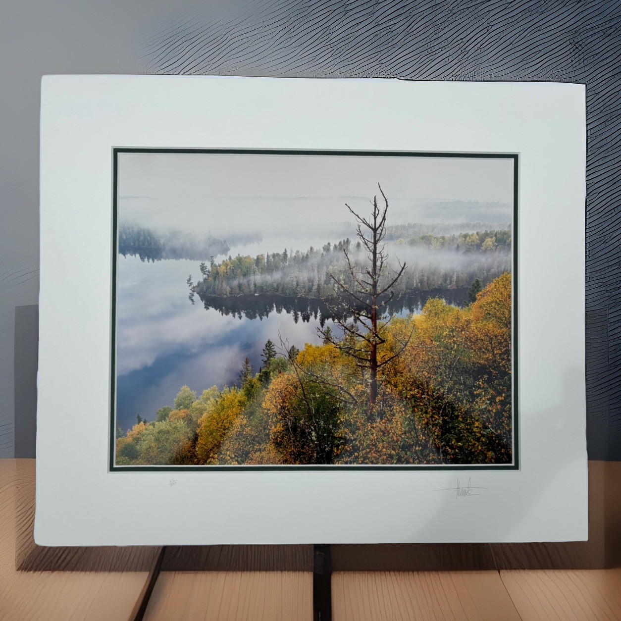 Jay Steinke Hungry Jake Lake Fall Leaves Minnesota Signed Photo Matted 19×16