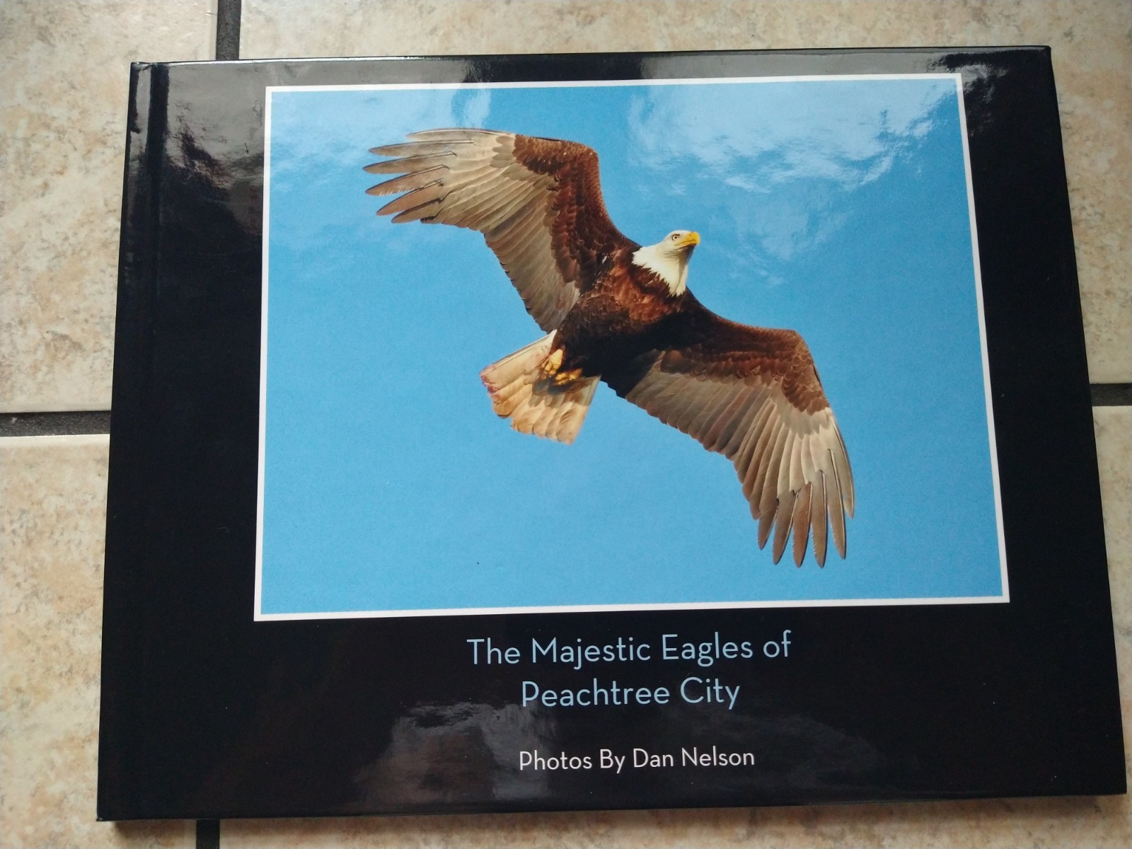 🦅 “The Majestic Eagles of Peachtree City” – Stunning Bald Eagle Photography 🦅