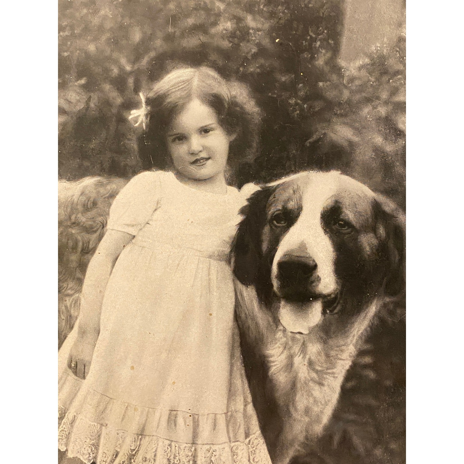 Antique b/w photo late 1800s Girl & Dog “The Old Guard” heavy old wood frame EVC