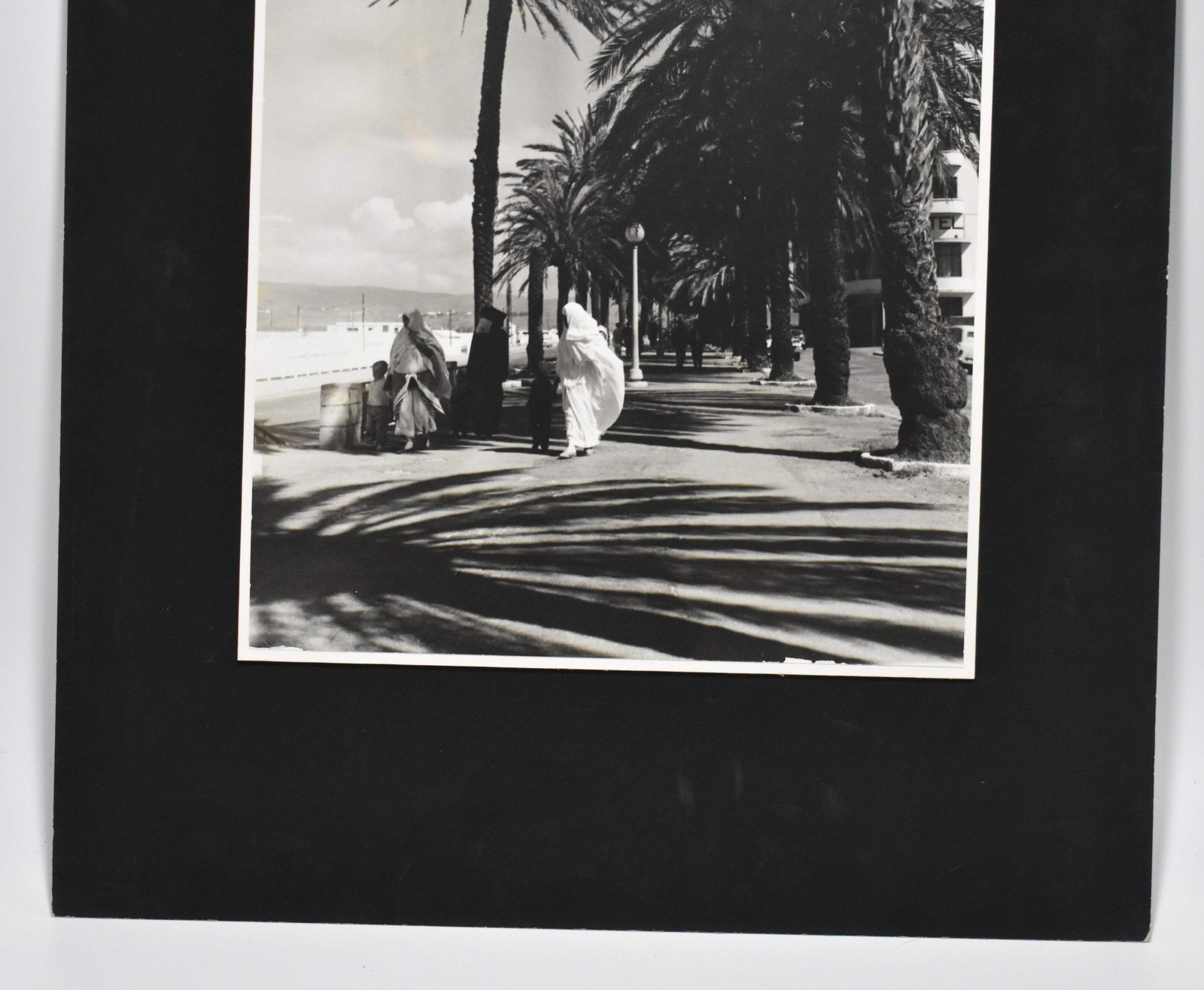 Vintage James W. Howlett Black and White Photograph, ‘Morrocan Palms’