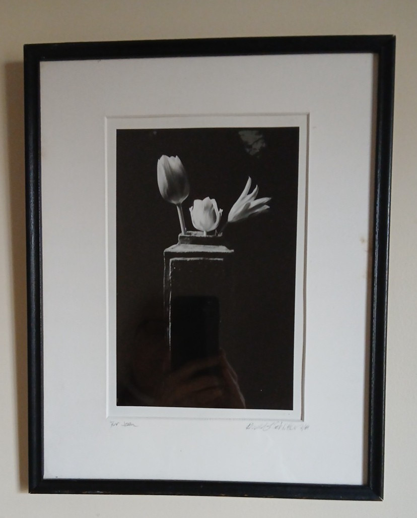 Framed Signed Dated PHOTOGRAPH Black & White Flowers/Vase 1989-14.75″H X 12″L