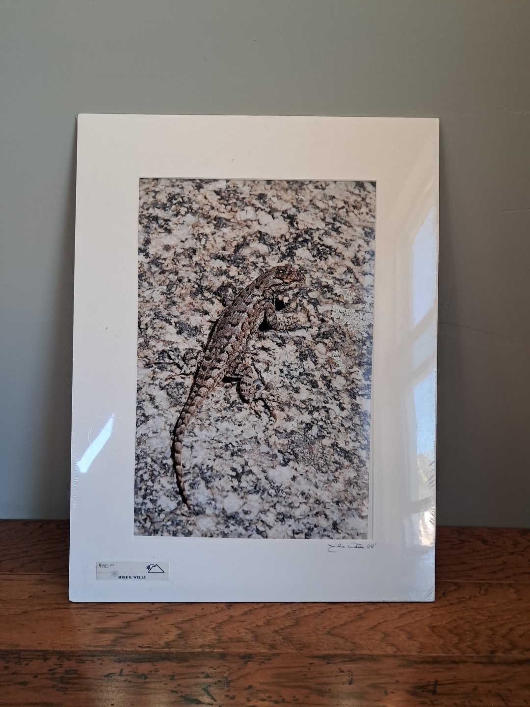 Mike Wells Lizard On Rock “Colorado Prairie” Signed Art Picture Photo