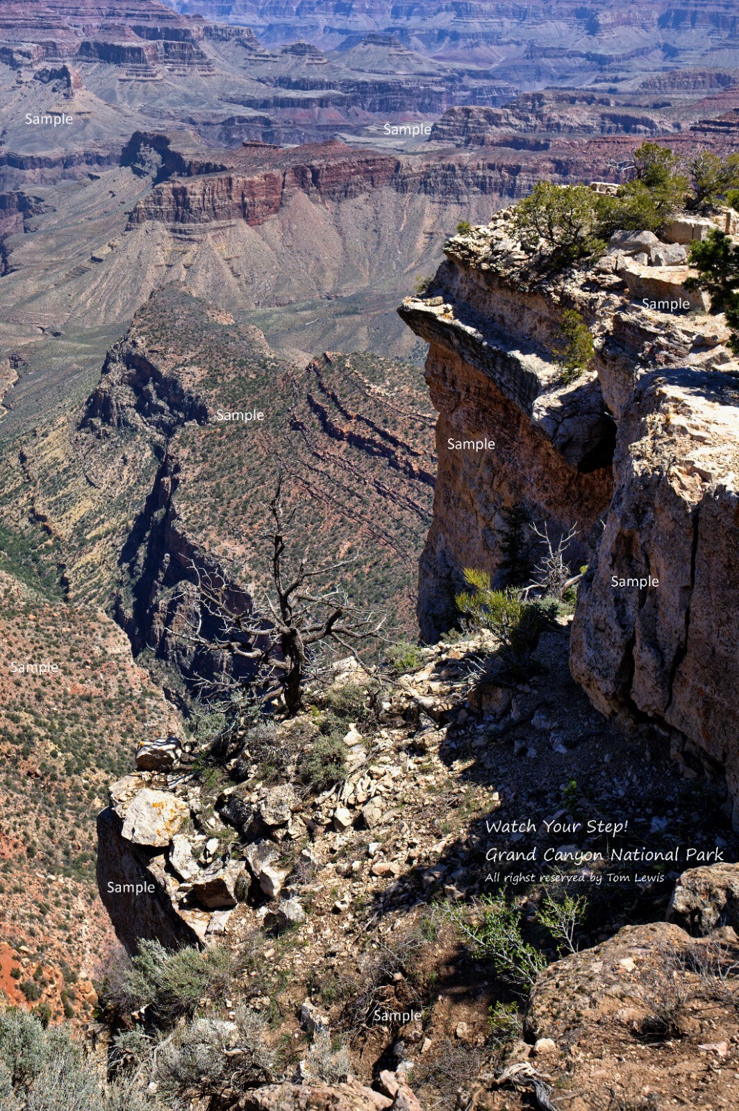 Grand Canyon National Park Arizona Desert Landscape Poster Photo Print GC17