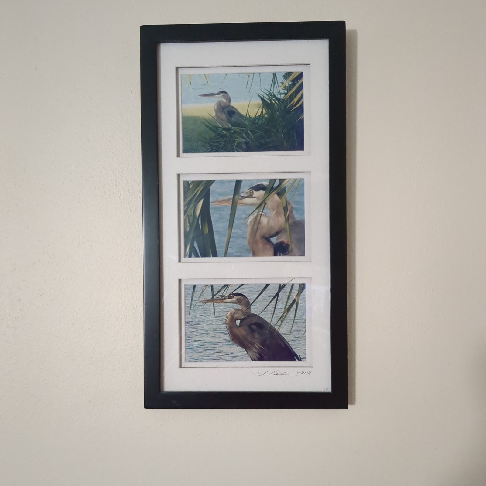 Great Blue Heron Art Prints Framed Signed S. Gooch 2008 Vertical Wildlife Wall