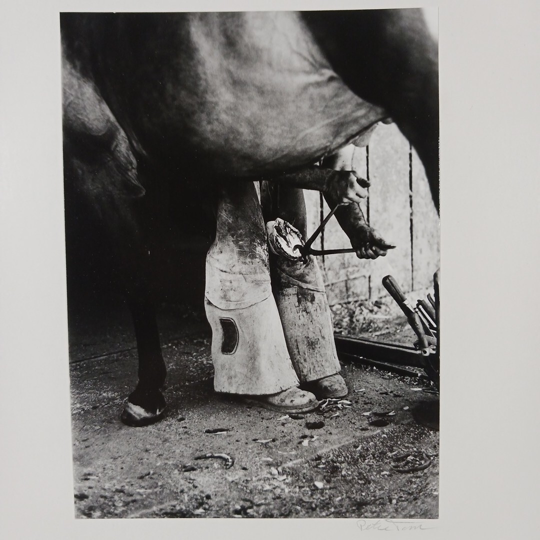 Working Farrier Cowboy Ranch Decor Black and White Art Photograph Signed Vintage