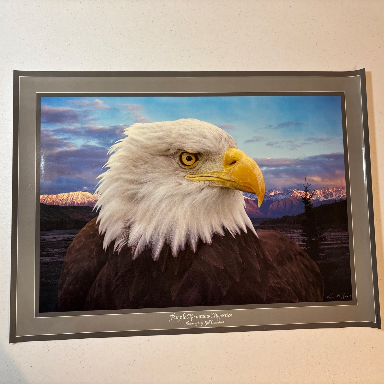 Lot Of 3 Kjell B Sandved Photograph Posters Bald Eagle Wild Horses Penguins