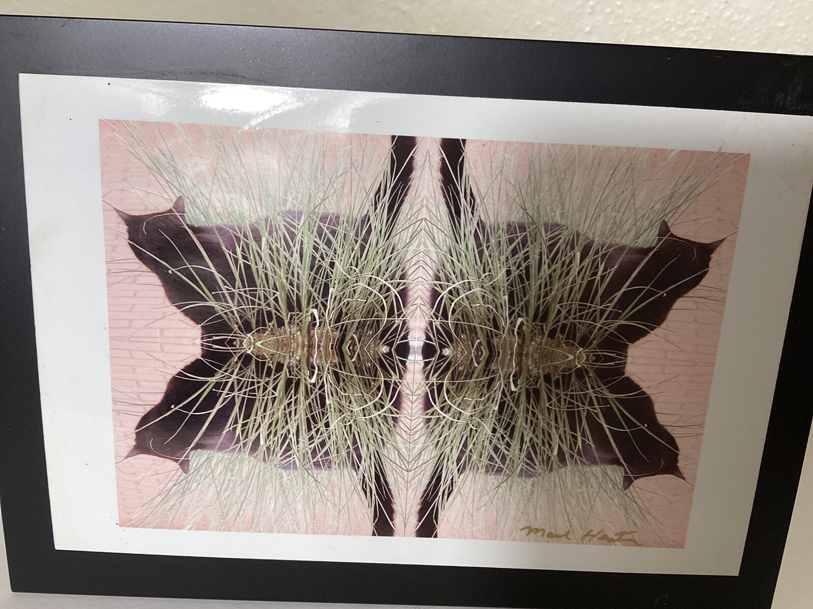 Cat Photography refleted Cats In Grass On Metal Easel Stand 5” X 7”