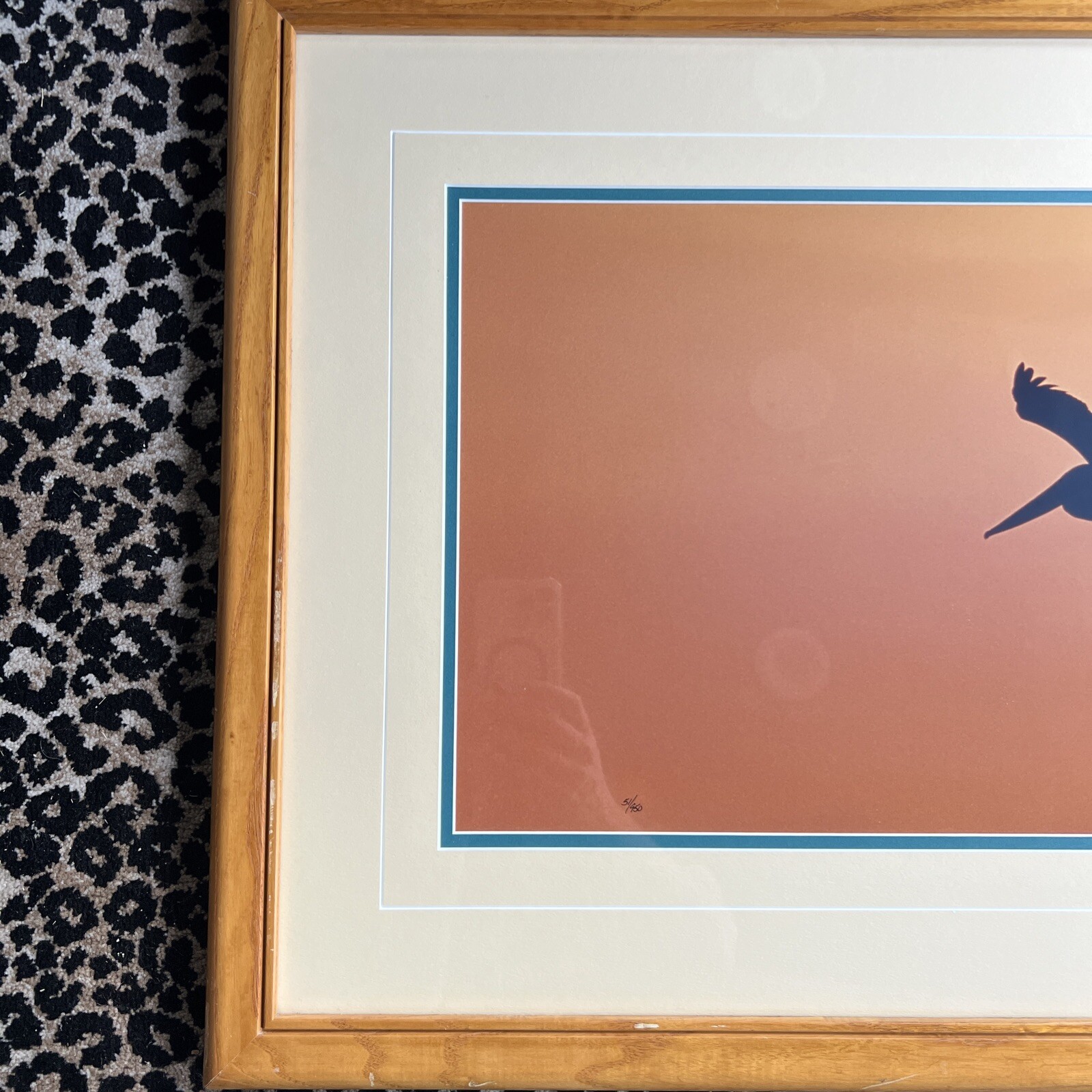 Thomas Mangelsen Signed Art Photo Ltd Pelicans Birds Wings At Dusk Numbered MCM