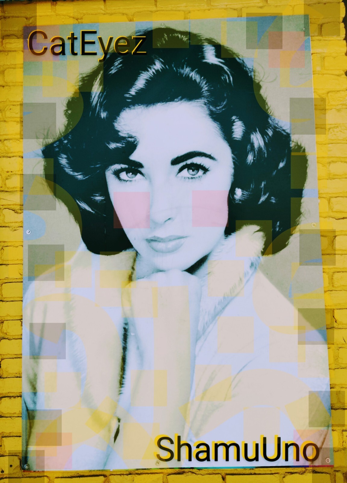 Photography Prints Cat Eyez Liz Taylor ShamuUno 1st Edition Signed Print