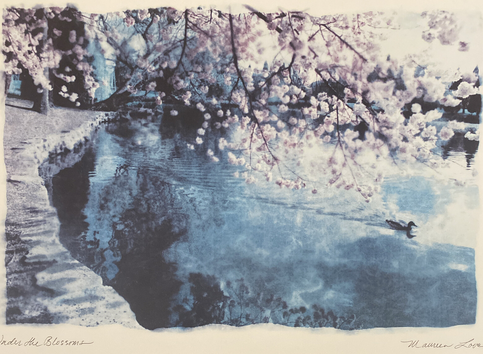 Maureen Love Signed Original Art Print “Under the Blossoms” Matted 20” by 16”
