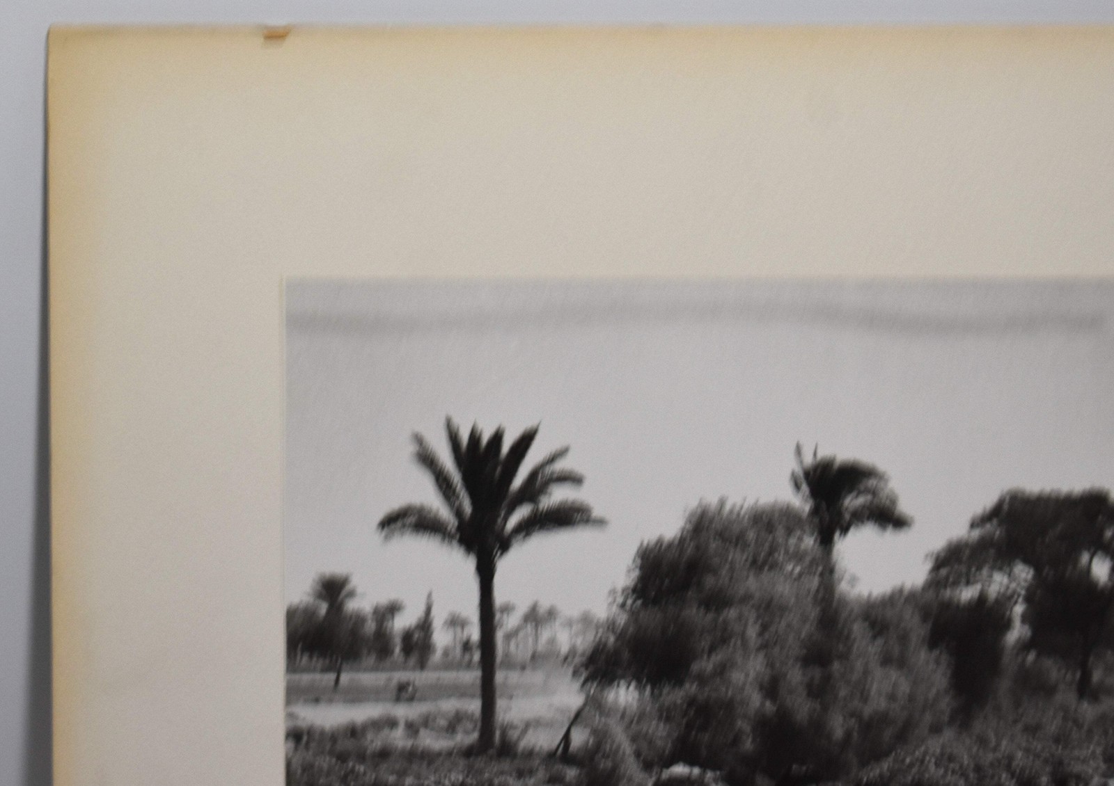 J.W. Howlett Black + white Photograph focusing on a Group of Travelers W/ Camel
