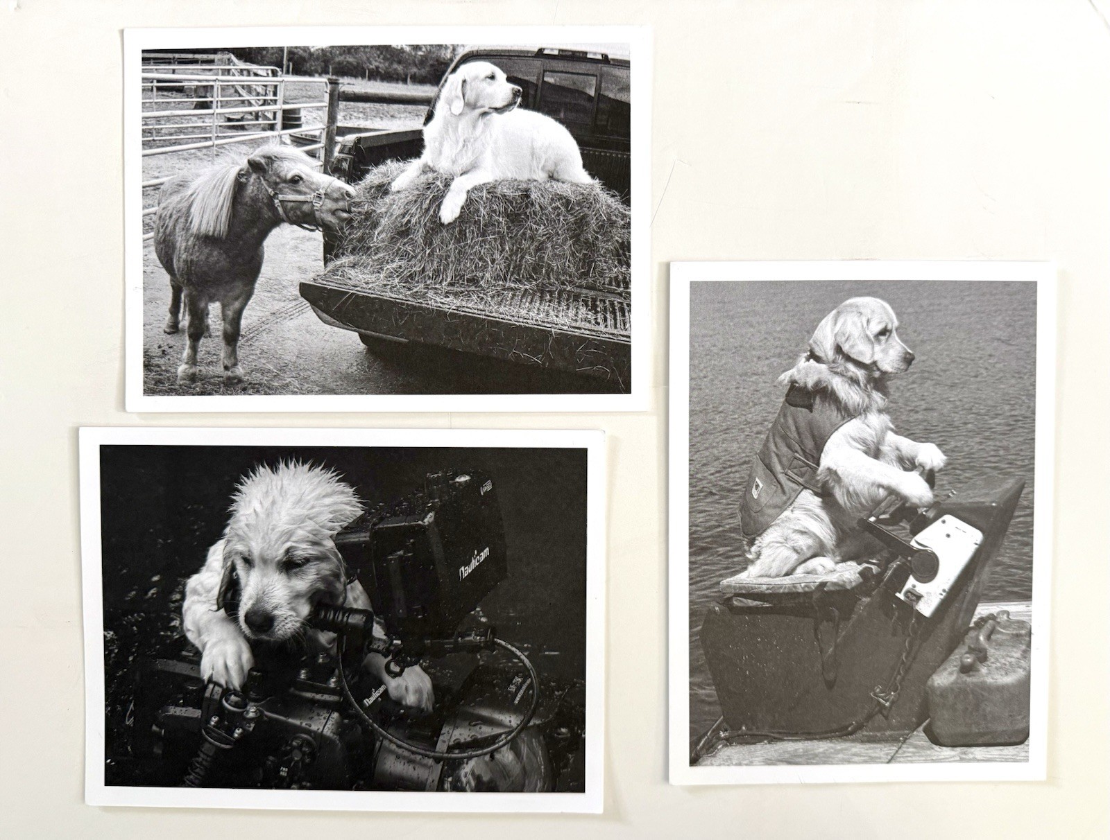 Set of Bruce Weber Original SIGNED Cards 2016, 2018 & 2019 Provenance Rare