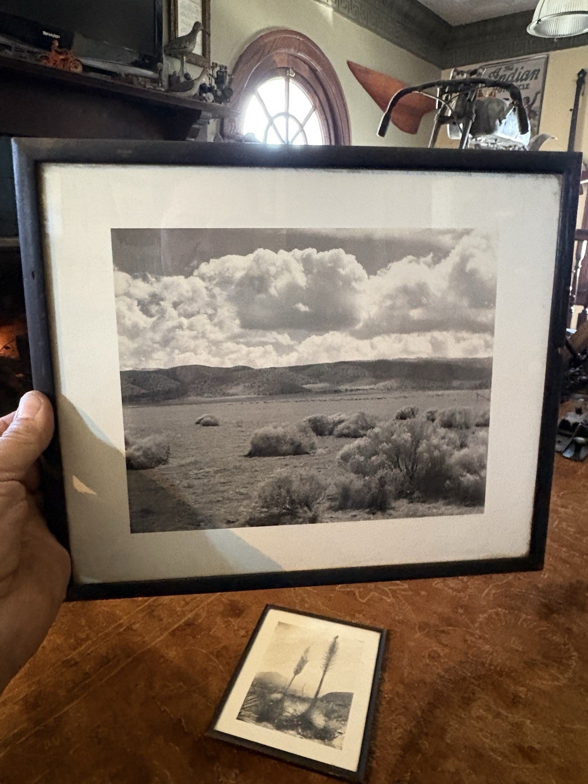 Mid Century Modern Southwestern Art Photographs Desert Cactus Mountains Sky