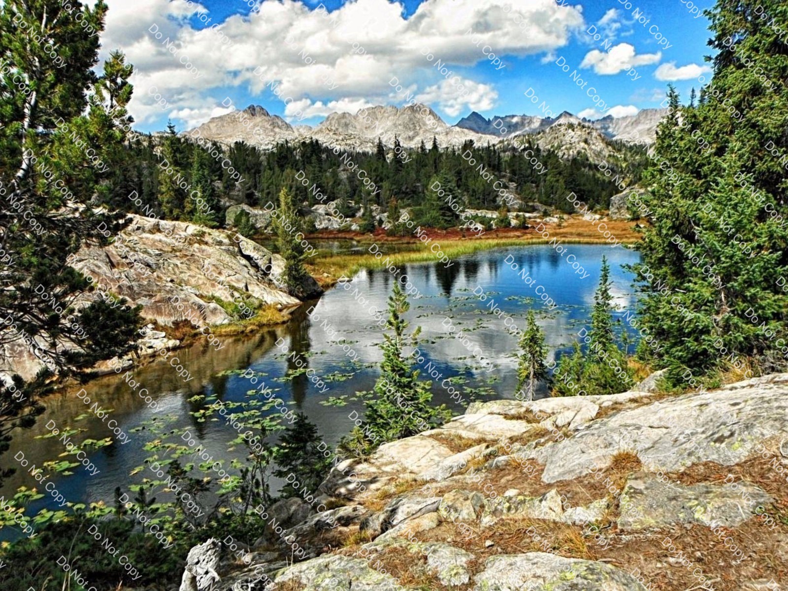 Digital Photo Image Wallpaper Background Pristine Nature