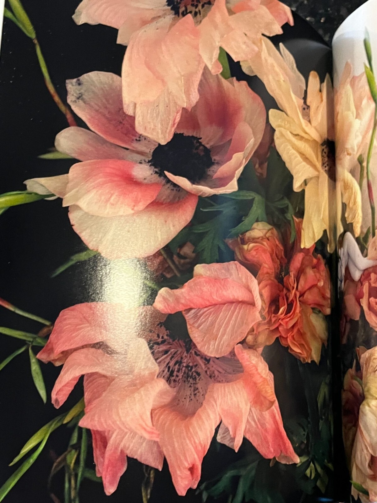 Impossible Love: Nobuyoshi Araki, A Photographic Journey through Japan art book