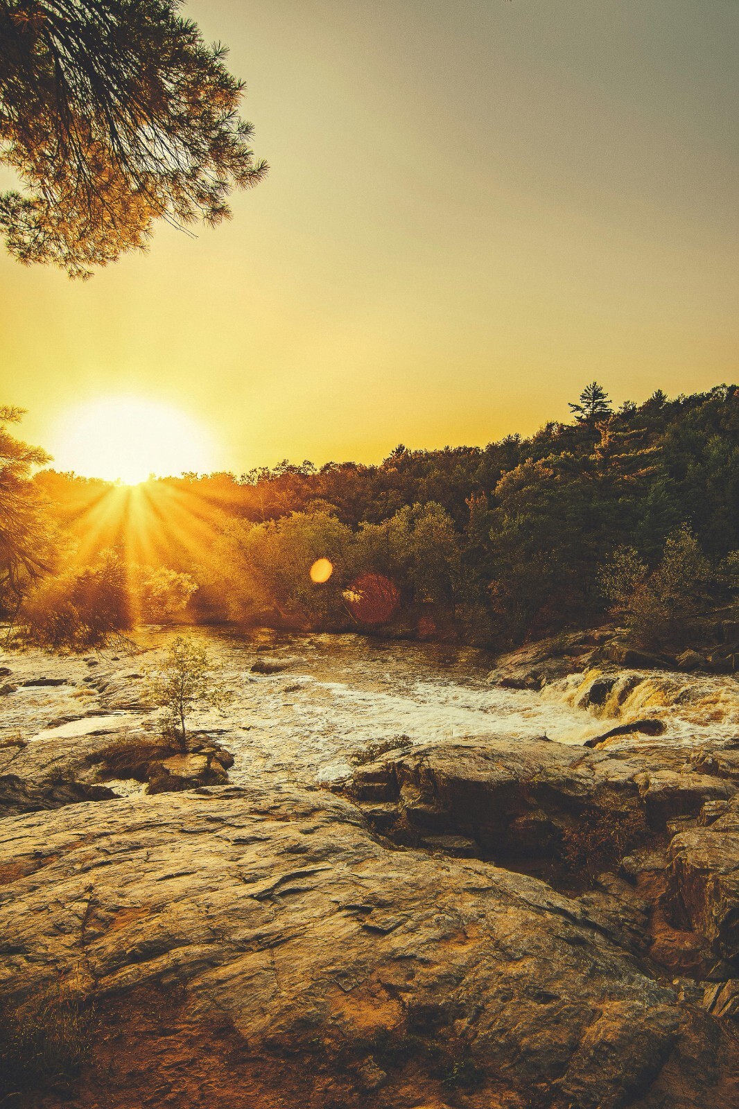 Digital Image Picture Photo Wallpaper Background Desktop AI Art Sample Product