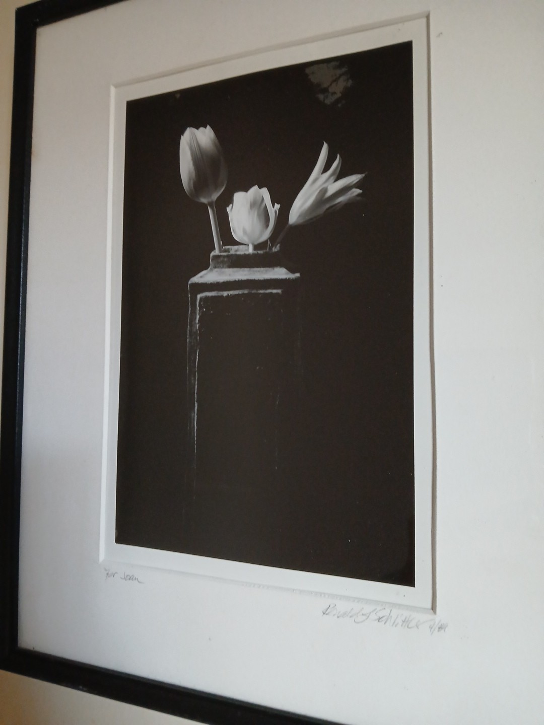 Framed Signed Dated PHOTOGRAPH Black & White Flowers/Vase 1989-14.75″H X 12″L