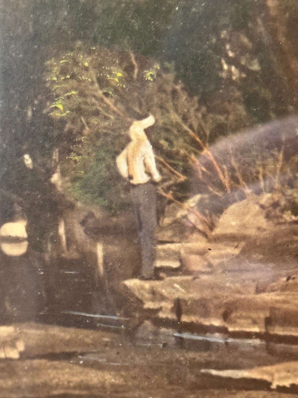 c.1900 Hand-Tinted Albumen Photograph Indigenous Landscape in Burr-Walnut Frame